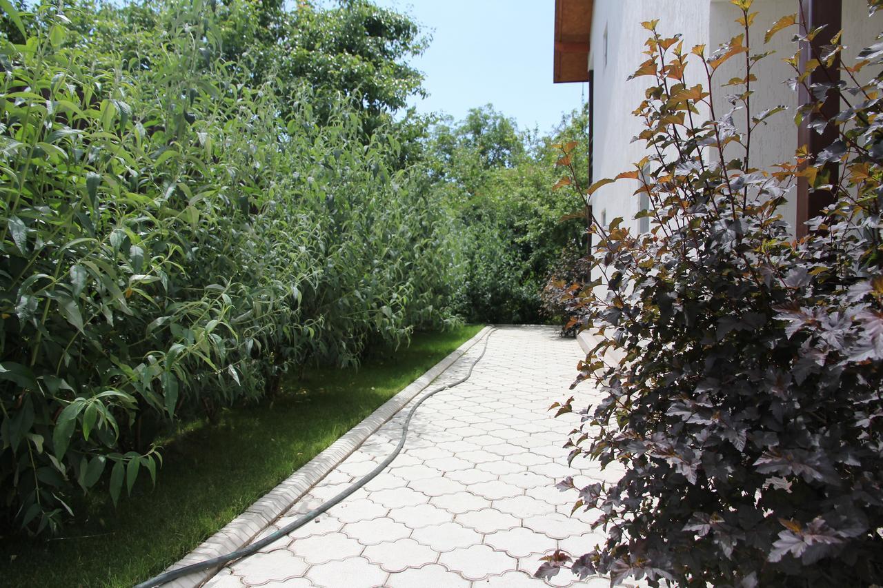 Guest House Leto Dolinka Ngoại thất bức ảnh